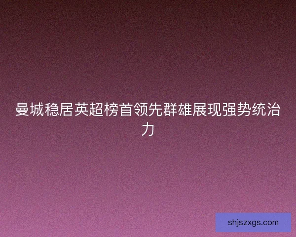 曼城稳居英超榜首领先群雄展现强势统治力